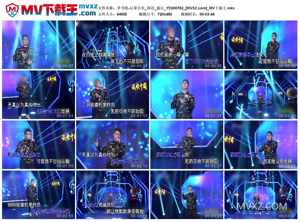 李书伟-后果自负_国语_流行_YE200762